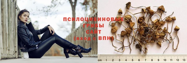 спиды Гвардейск