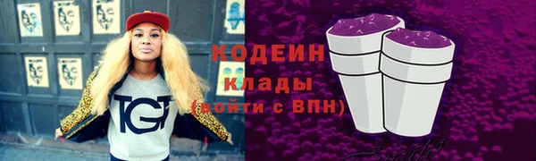 гашик Пестово