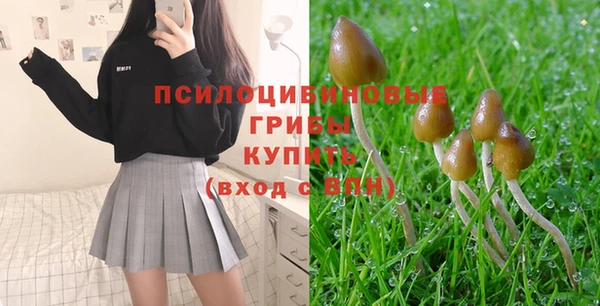 2c-b Абинск