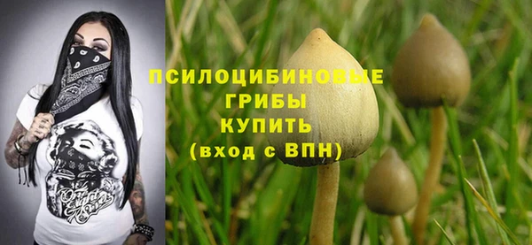 экстази Алексеевка